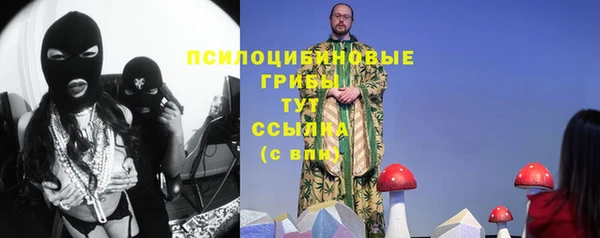 синтетический гашиш Алексеевка
